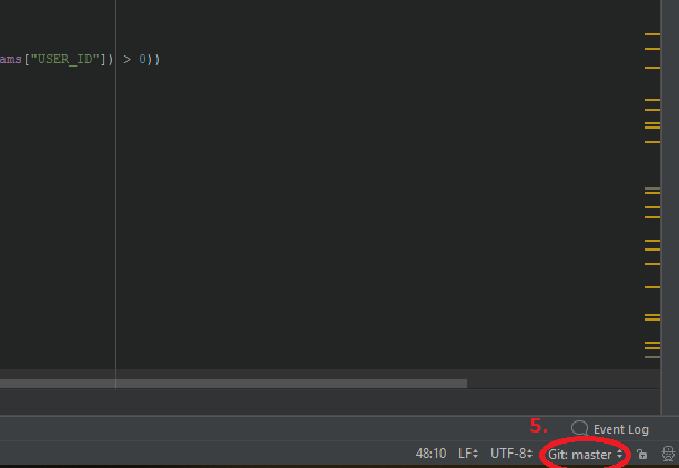 Ветка master в PhpStorm