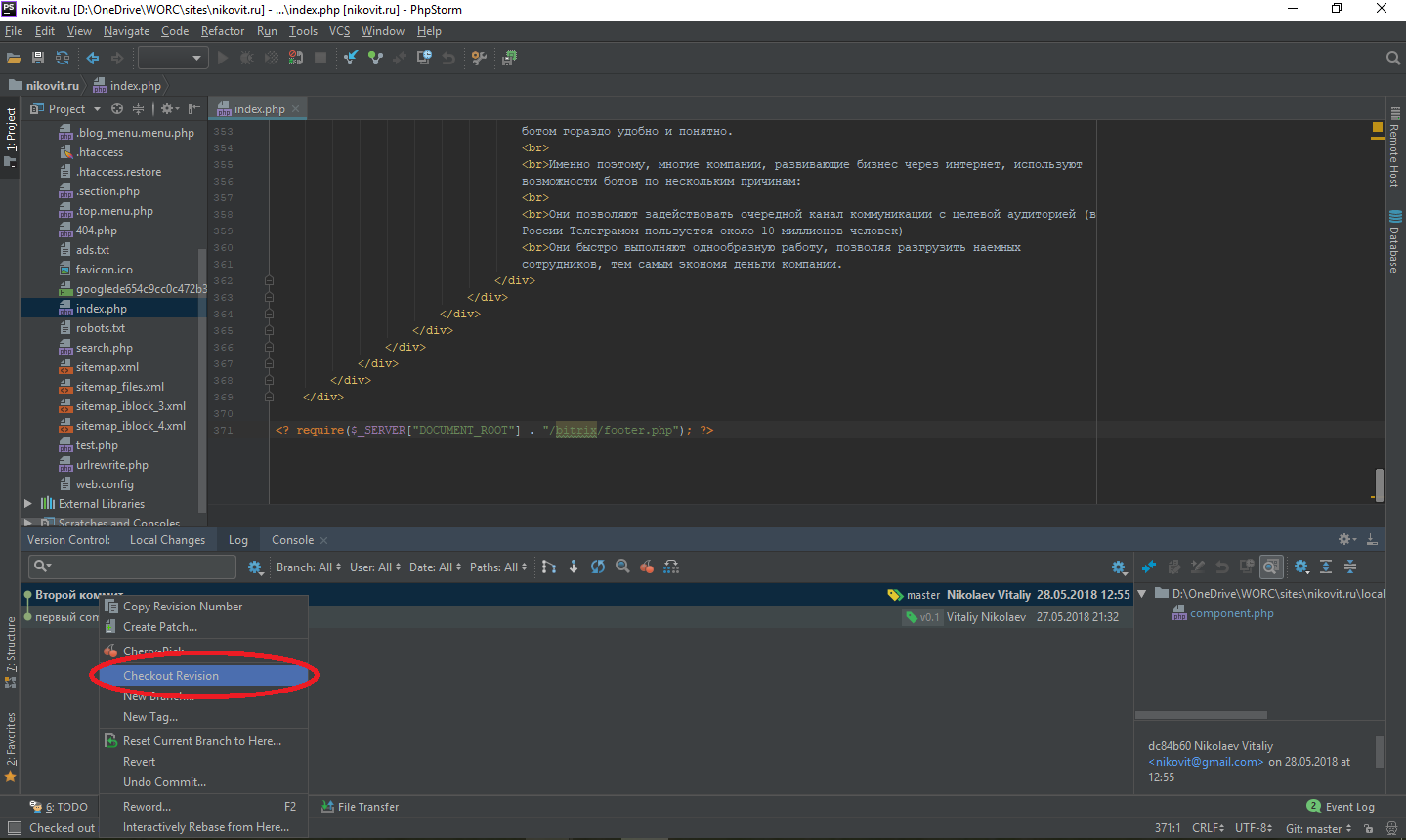 Checkout Revision Git