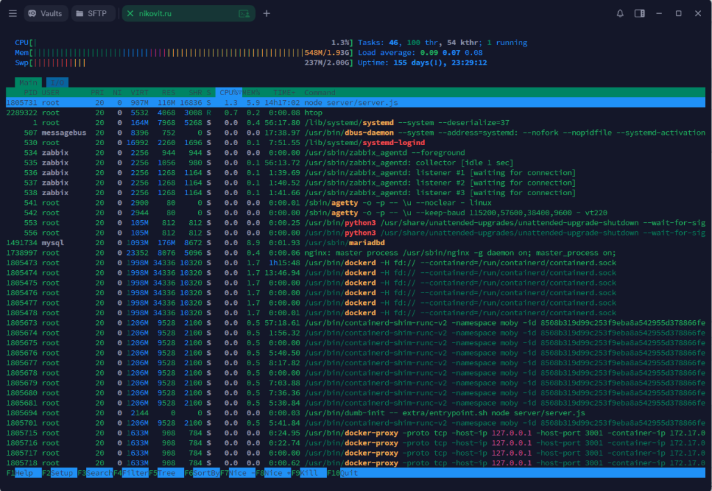 htop.png